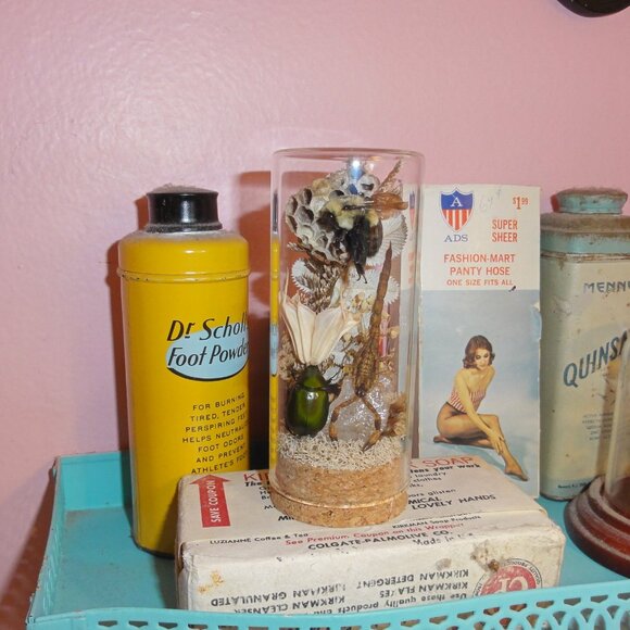 Scorpion Green Chafer Beetle Wasp Nest Bee & Crystal Oddity Jar taxidermy - Picture 14 of 16